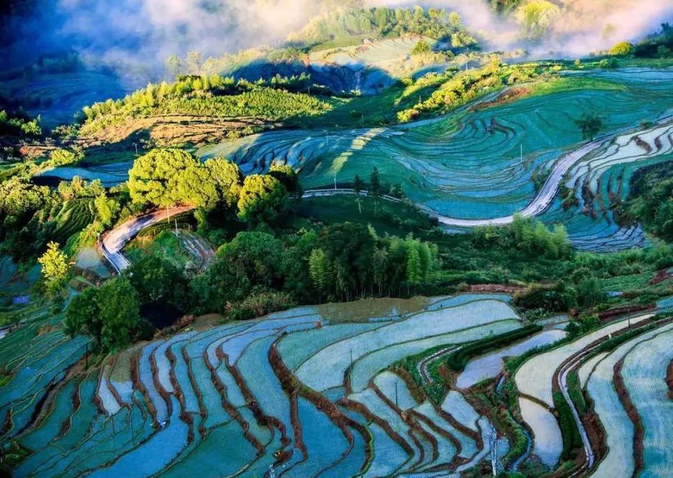 政和 石圳村,凤头楠木林,念山云上梯田,天村稠岭,翡翠锦屏,洞宫山