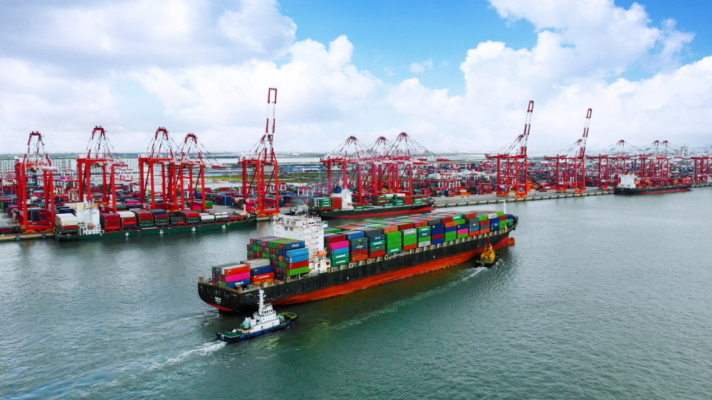 广州南沙港:前7月外贸集装箱吞吐量同比增长超16%
