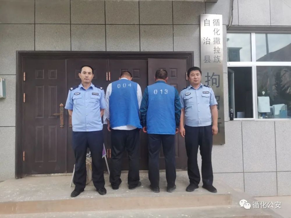 【循化公安】这两男子很奇葩,锯掉邻居杨树双双被拘留!