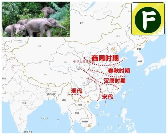 实际历史上亚洲象分布十分广泛,6000多年前亚洲象在我国境内最北端一