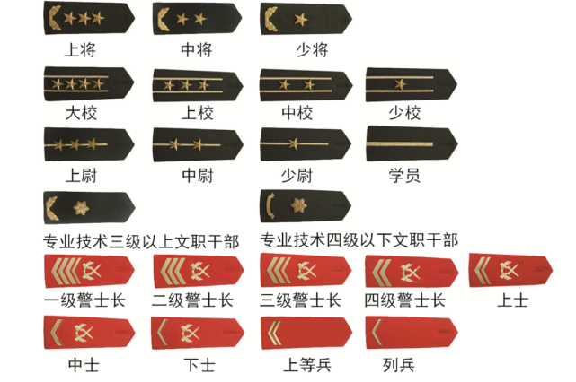 标识是缀挂于军服上的标志,军种符号等,分为帽徽,领花,警衔标志,胸标