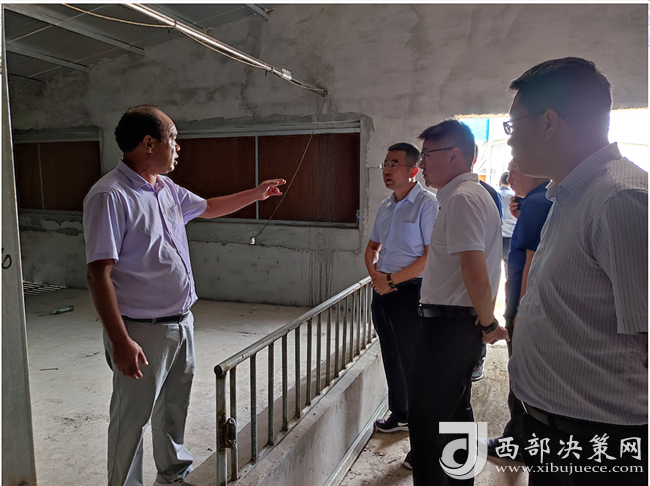 宝鸡凤翔区区长王宏强到横水镇实地调研市级重点项目建设情况