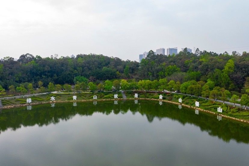 广州番禺钟村街:串珠成链,打造禾田水韵新乡村示范带