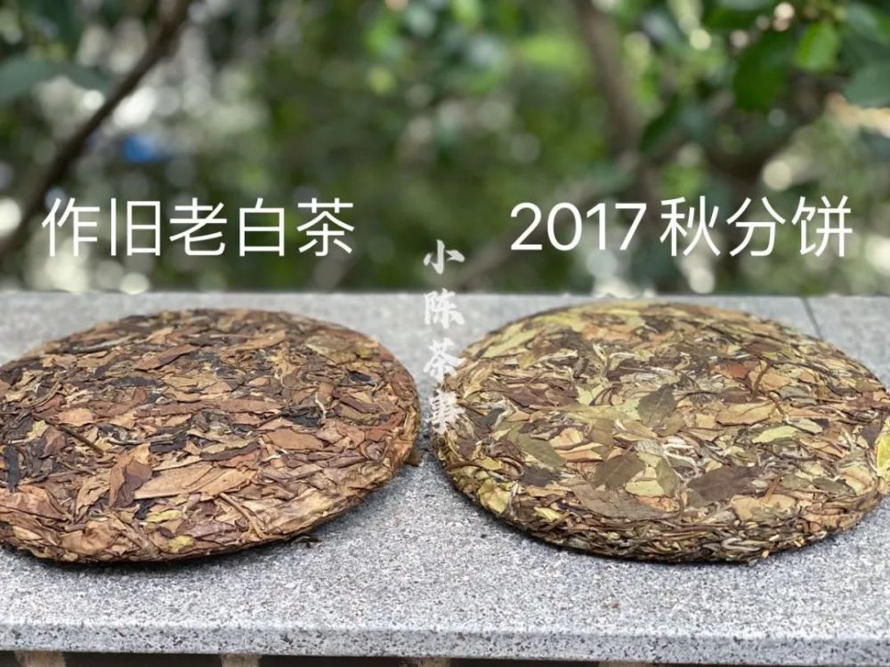 作旧的老白茶饼,由于渥堆作旧,将颜色变成了统一的咖褐色,故而已经无