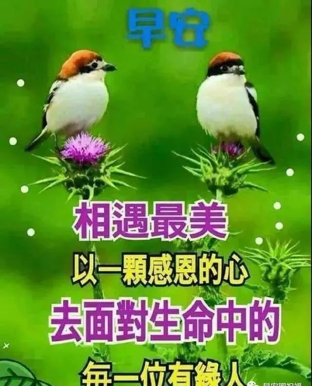 6张非常创意好看的早上好图片带祝福语 最新唯美早上好图片祝福语带字