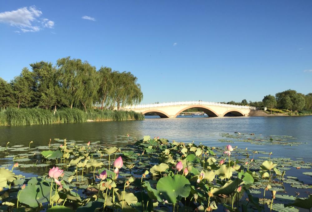 北京市最大的湿地公园风景美如画