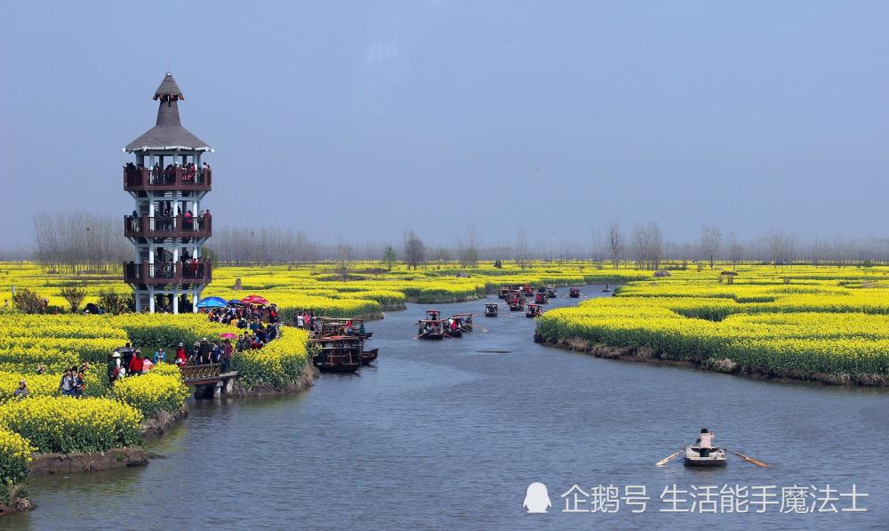 最美的水上油菜花田,江苏独此一份,连人民网都点赞,离南京很近