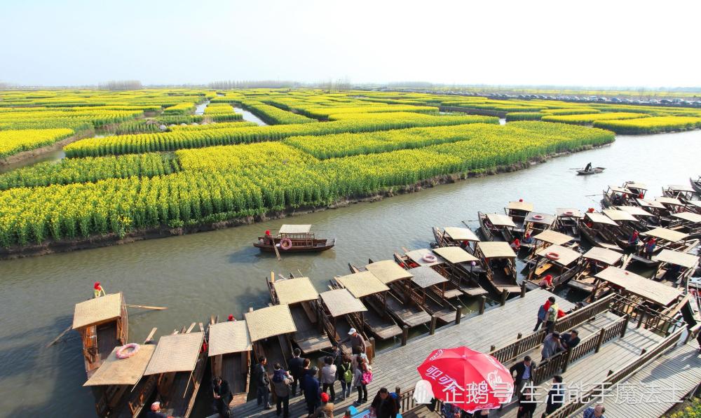最美的水上油菜花田,江苏独此一份,连人民网都点赞,离