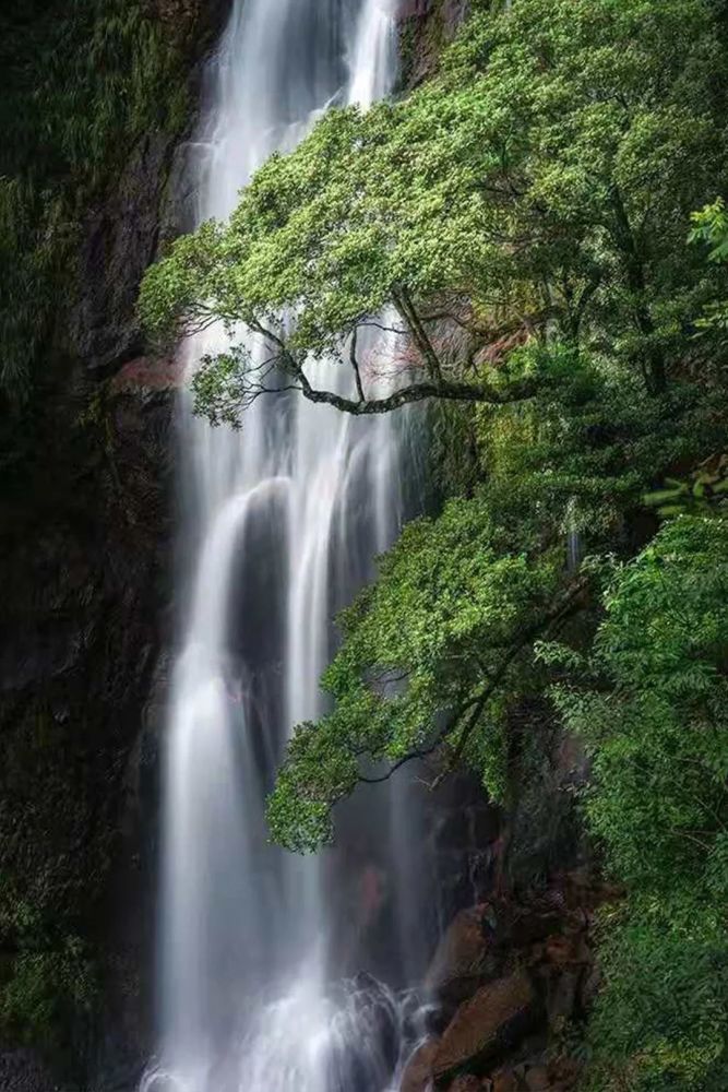 「遂昌神龙谷景区 」