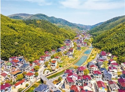 近观苍翠竹林…… 地处苏浙接壤处的浙江省湖州市长兴县煤山镇新川村