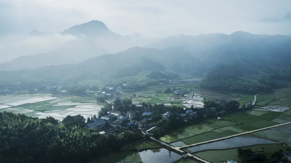 闽北美景|浦城:小密村夏日清晨薄雾起 林田相望绿意浓