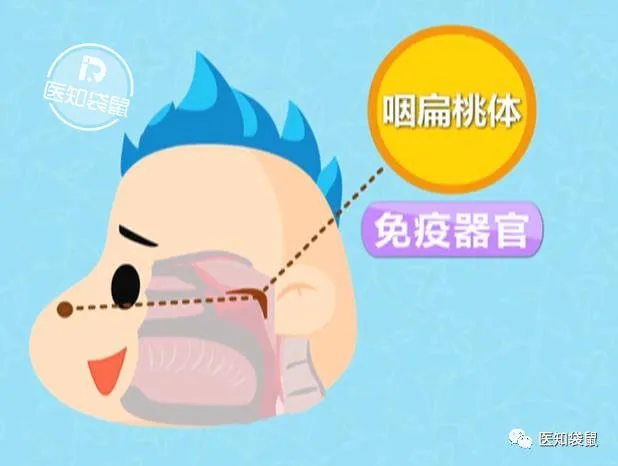 腺样体肥大别大意,拉低颜值,影响身高和智商!这种情况