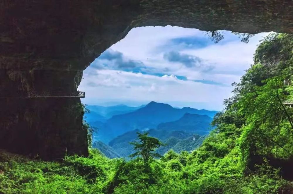 如果玩乐酱说,金佛山,每年夏天必去!应该没人会反驳吧!