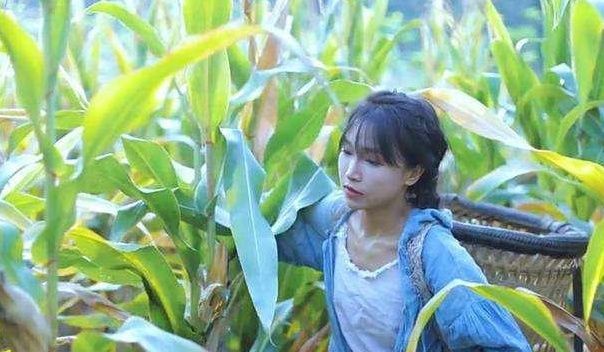 网红李子柒直播的时候忘记开美颜,还原真实状态,网友吐槽也太假了吧