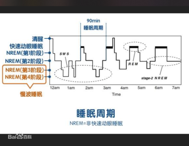一种叫"正相睡眠",也叫慢波睡眠或者慢动眼睡眠(简称 nrem).