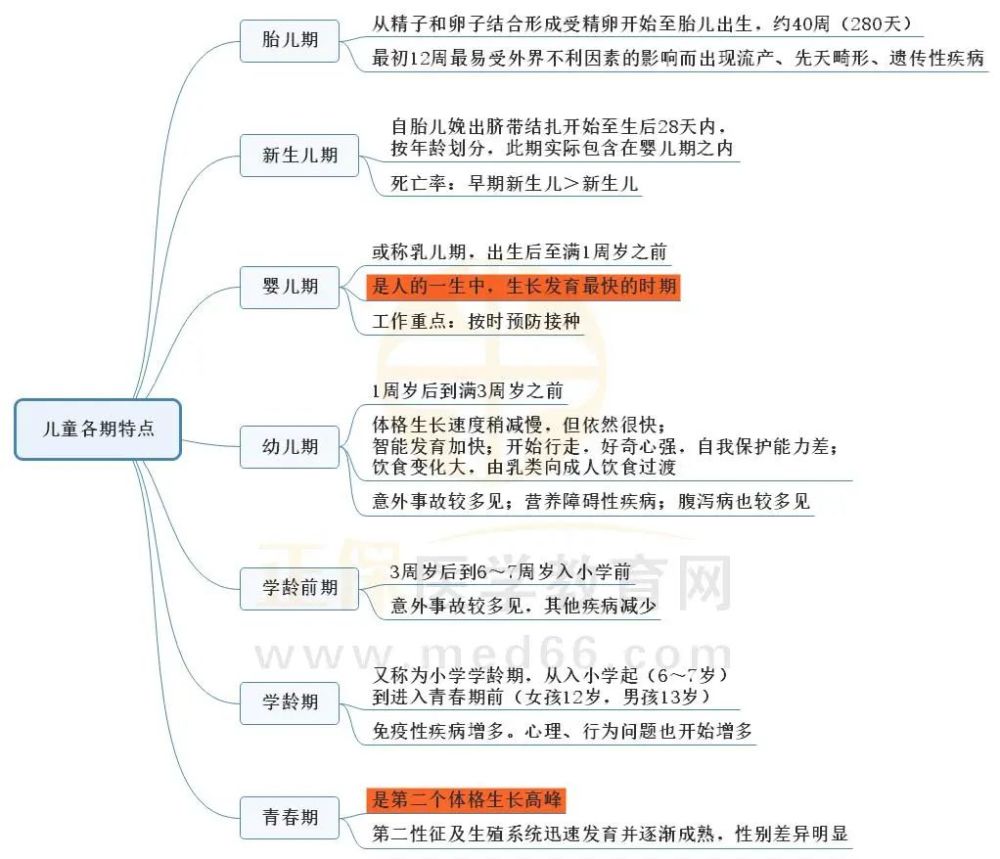 2.小儿生长发育规律的思维导图