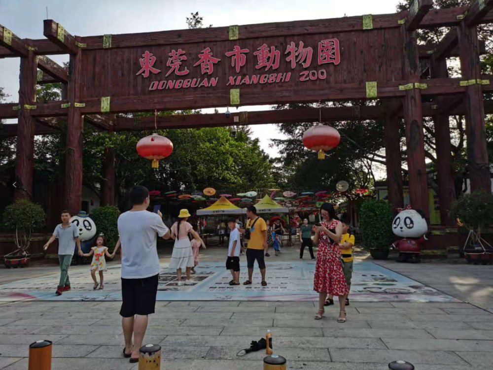成立十周年,东莞香市动物园将迎来大升级