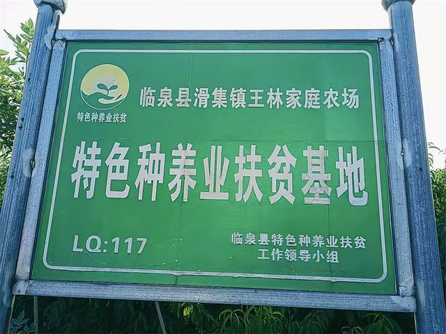 临泉县滑集镇:加快产业结构调整,铺就村民家门口就业