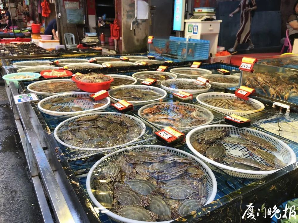 今天开始,厦门的海鲜又多又便宜!