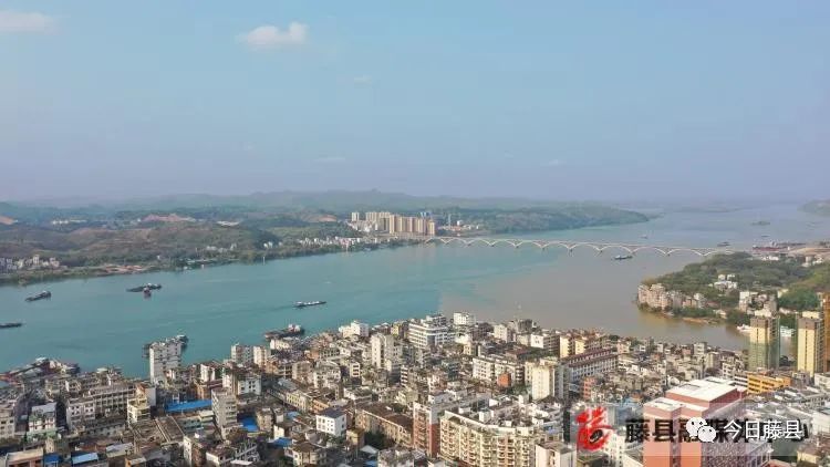 广西藤县:奋力推动经济高质量发展向"东融"