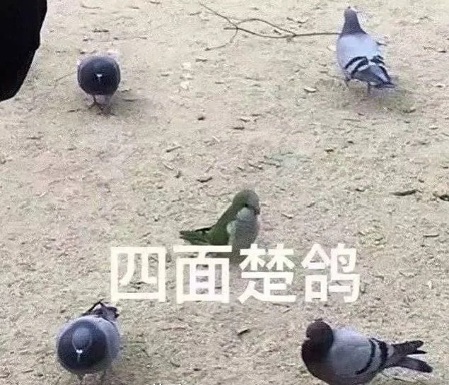 表情包:扩列请选我我超皮