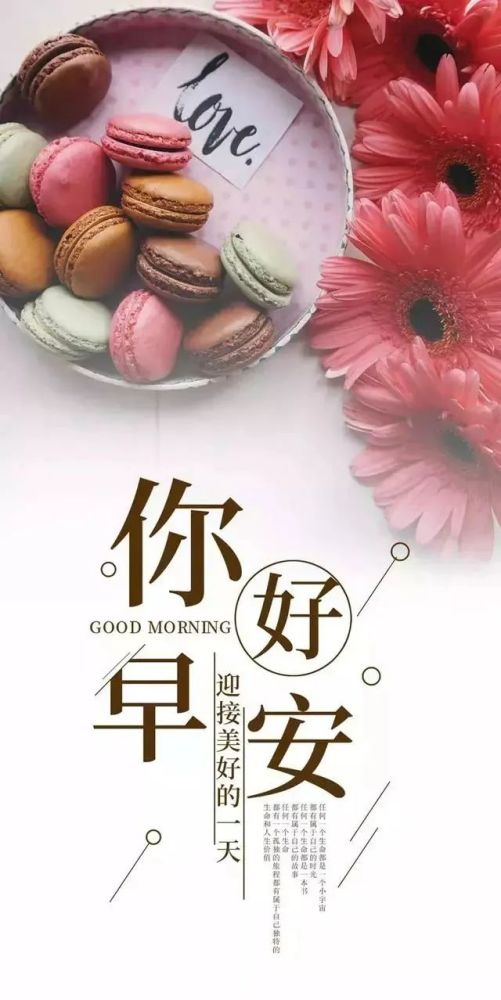 8月20日每日早安心语日签