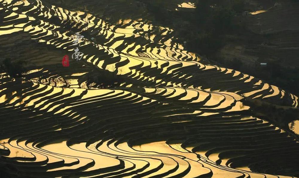 云南哈尼梯田最大气的地方,3700多级梯田直达云霄