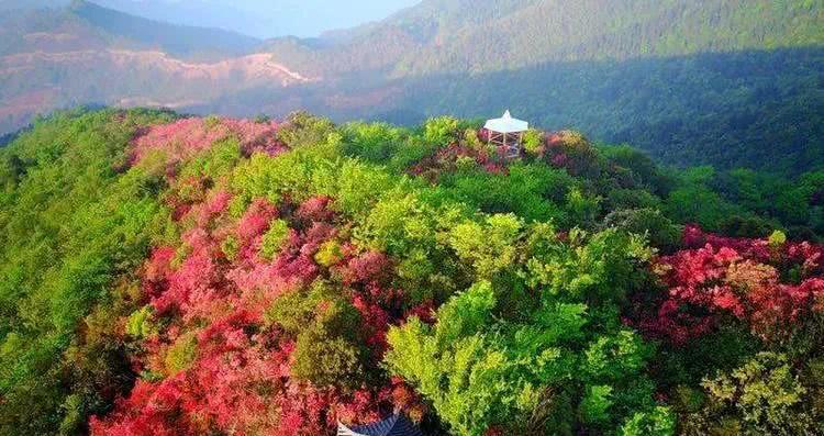 萍乡这些最美森林旅游地你都去过吗?