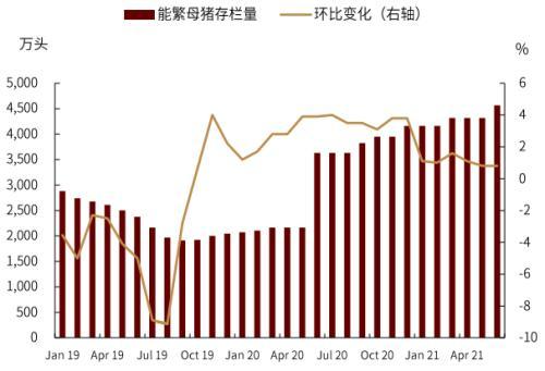 图表19:能繁母猪存栏量