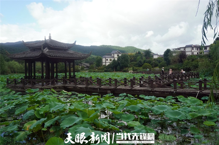 据悉,龙里莲花湿地公园位于厦蓉高速龙里收费站右侧,云丛飞瀑,朵花河