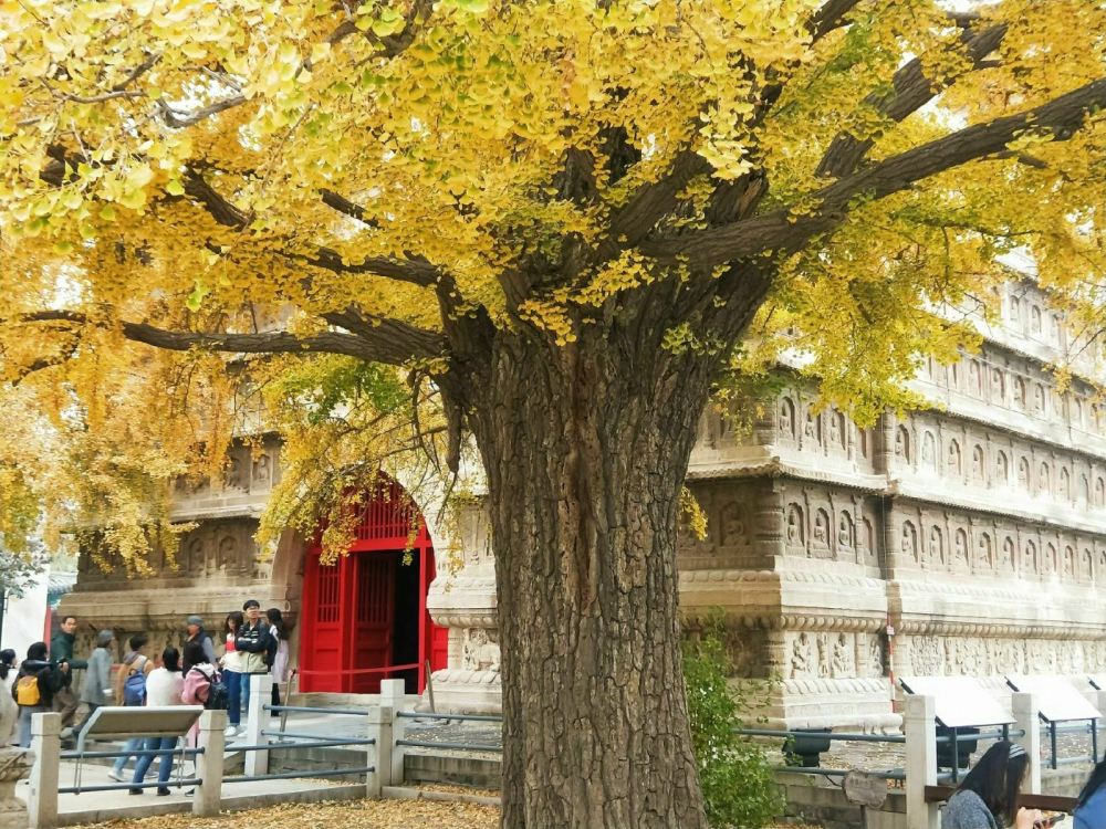 五塔寺又名真觉寺,以石塔出名,现已成为北京石刻艺术博物馆