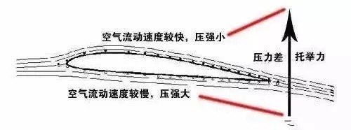 飞机可以起飞,离不开这位科学家,伯努利原理原来是这么回事!