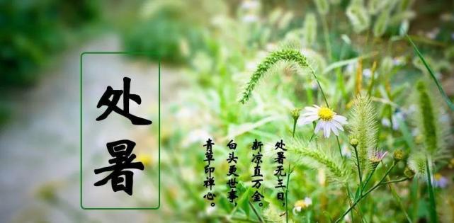 2021年处暑的时间为8月23日～9月6日,处暑分为三候(5天为一候,其中一
