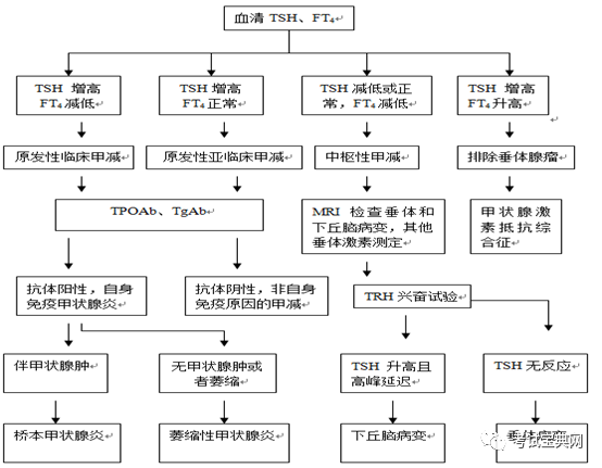 甲状腺球蛋白抗体高是什么原因（甲状腺球蛋白抗体高是什么原因造成的）