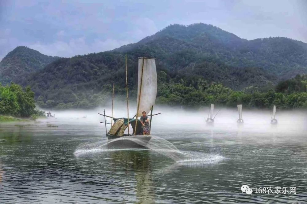 丽水古堰画乡-艺术气息浓厚的水乡民宿-风貌超绝