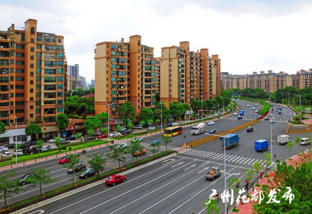 【看·花都】啧啧,一路美景!迎宾大道变身城市绿廊!