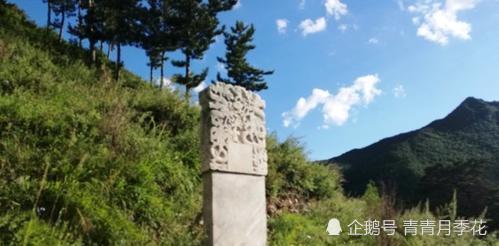 河北深山发现千年古墓,守墓人死活不肯专家挖掘,也不说墓主身份