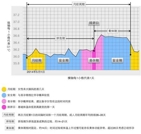 以下的图就是多囊卵巢综合症患者的体温变化图,可以看到并没有明显的