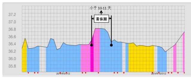 基础体温怎么测（基础体温怎么测最准确）