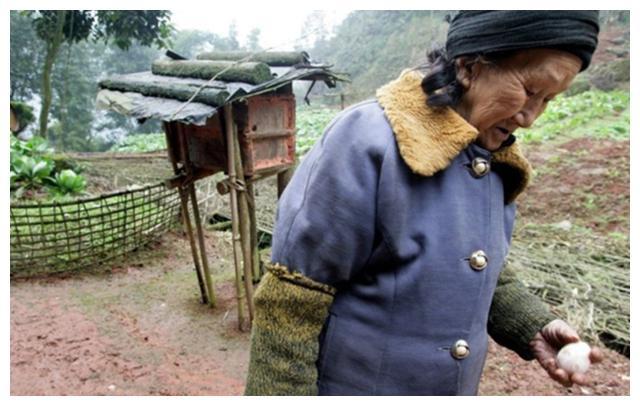 如今仍生活在大山里最初张志远和胡庭秀表达了这样的想法后,胡庭秀