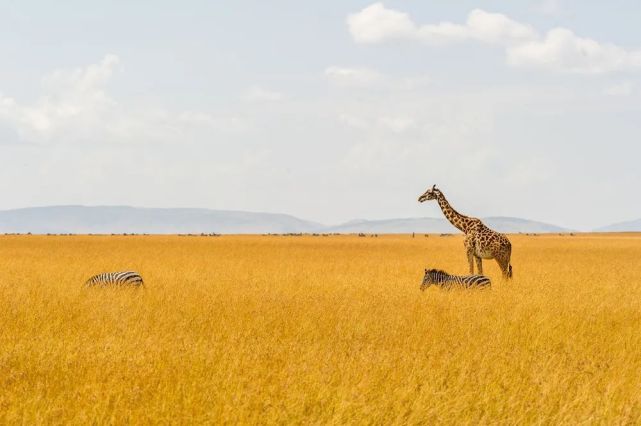 nairobi national park