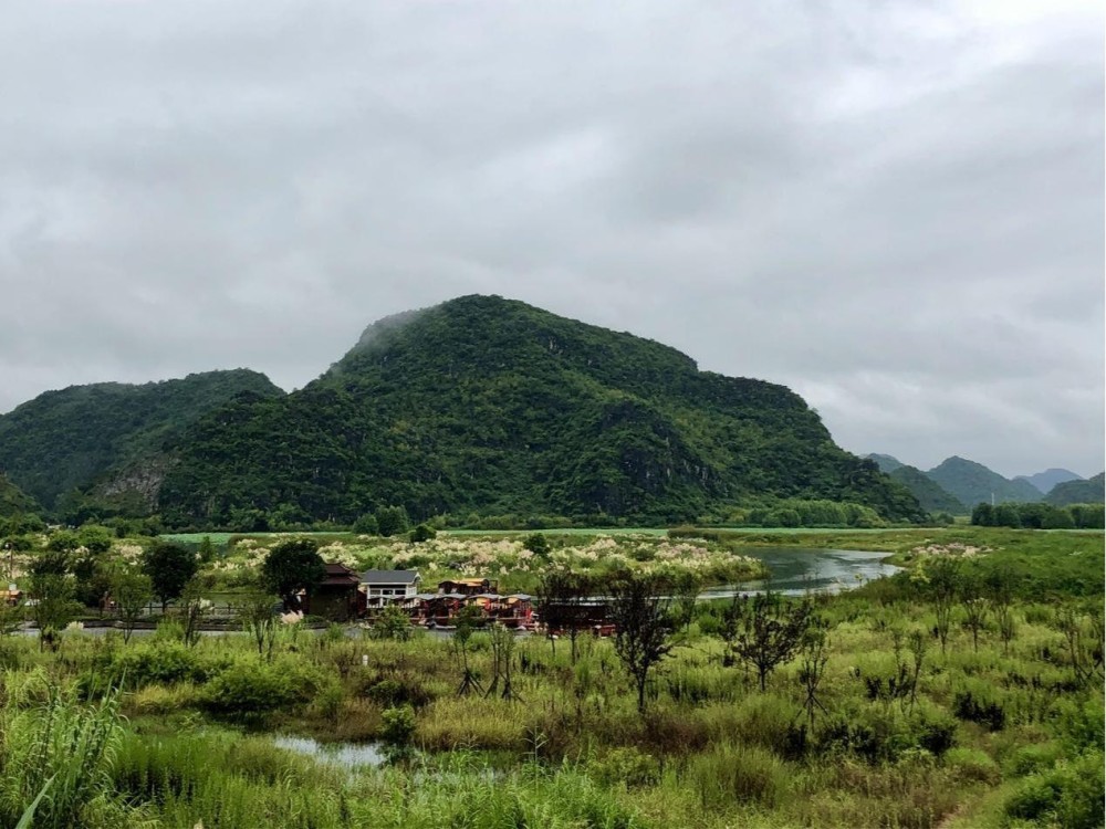 构建圈层式产业发展空间!丘北县走出绿色发展致富路