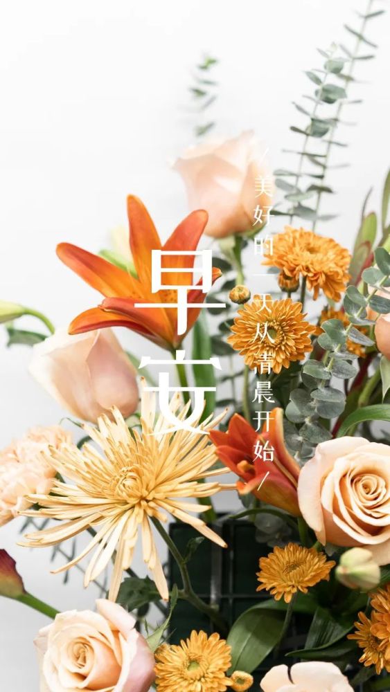 今日早安正能量语录图片