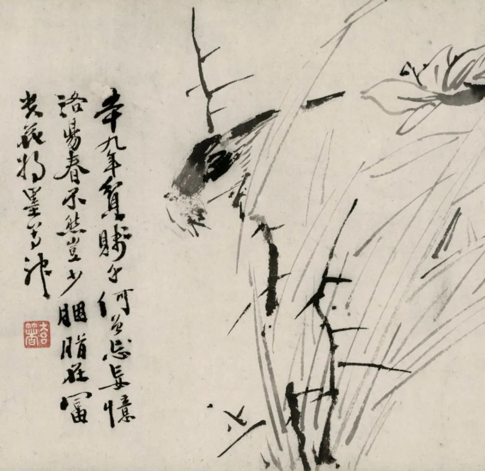 徐渭·墨花丨私享艺术