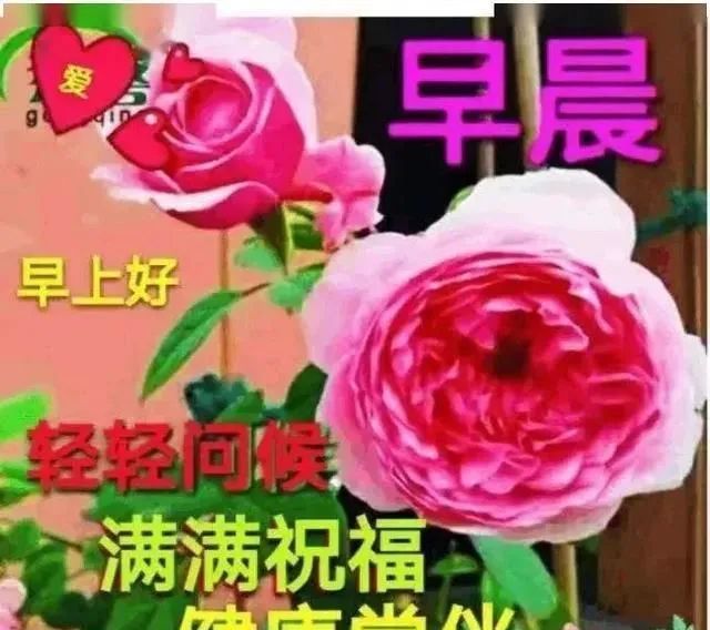 2021新版早晨好表情图合集新版早上好祝福语美女图片