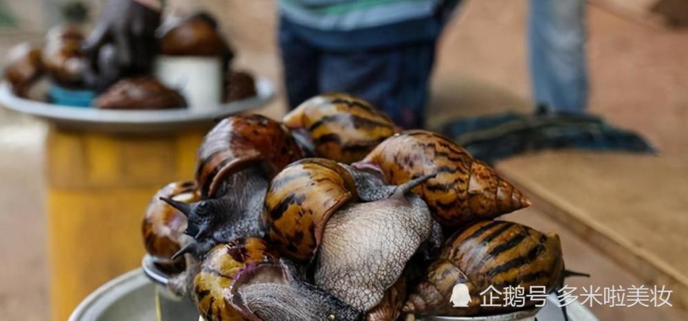 非洲人喜欢吃的大蜗牛,在中国开始泛滥,为何中国吃货不敢吃?_腾讯新闻