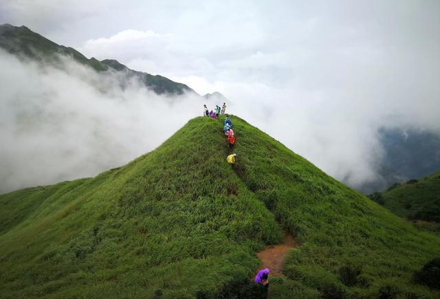 攻略|登惠东最美高山草甸-大南山!