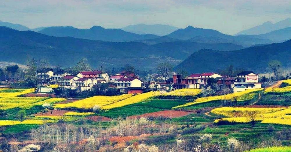 最适合人类居住的地方之一中国最美茶乡秦巴仙境西乡县