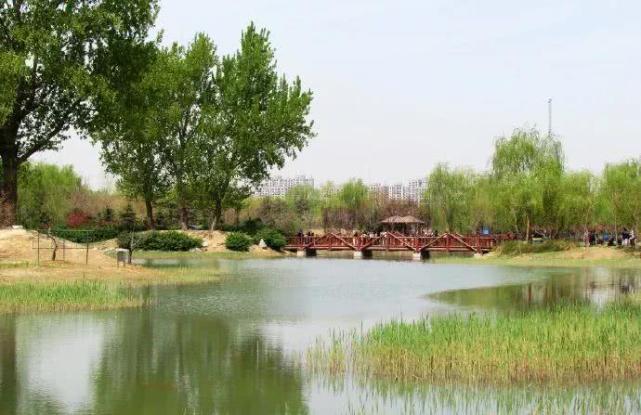 这个北京最大的郊野公园,已经进入一年中颜值最高峰时期,别再错过了!