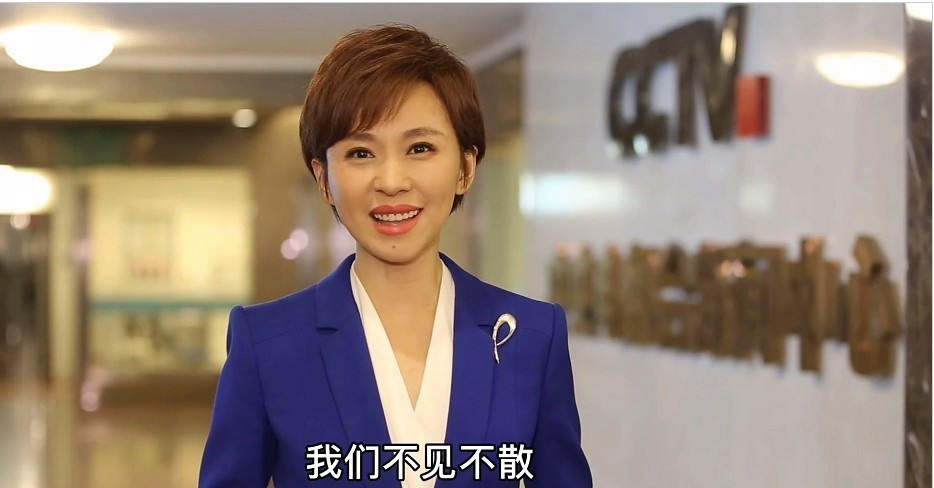 欧阳夏丹辛酸成名路:从最年轻"国脸"到"消失"于央视,她咋了